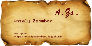 Antaly Zsombor névjegykártya